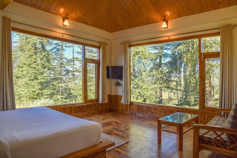 Room 5, Green Chaklu, Shimla
