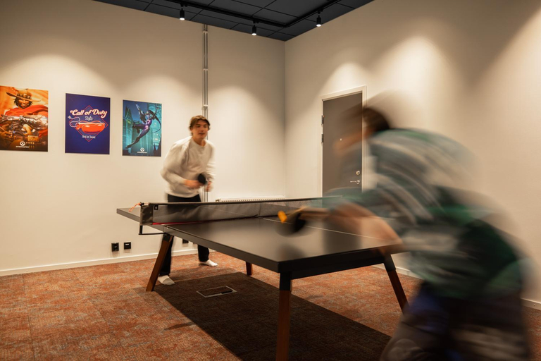 Others 5, HomeX Hotel for Gamers, Täby