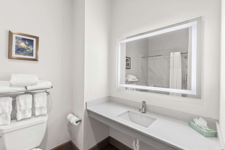 Bathroom 5, Sonesta Essential La Porte, Houston