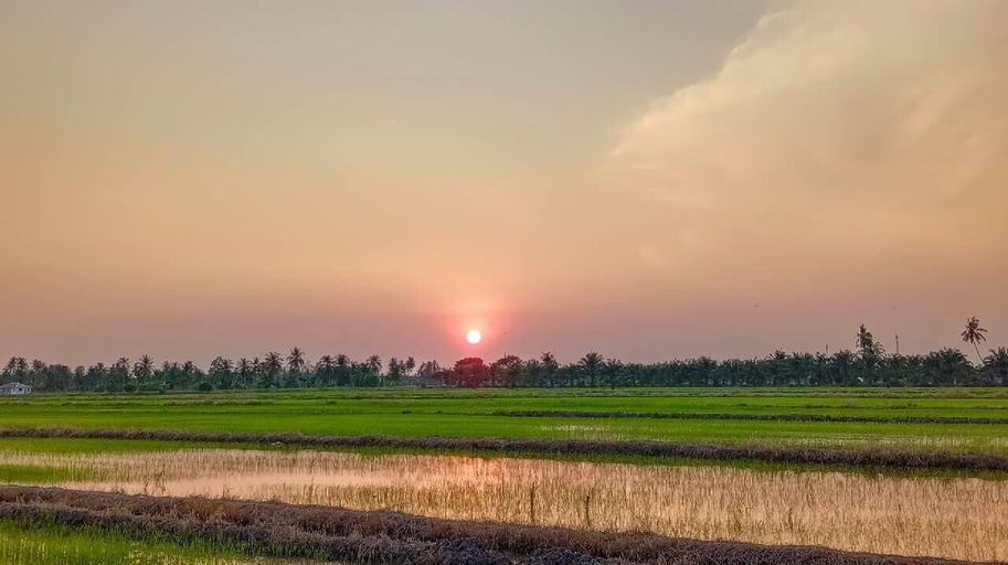 Others 5, Kurau Inn Farmstay, Kerian