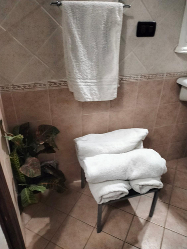 Others 4, PALACE COMFORT INN, Pisa