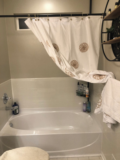 Bathroom 2, The Woodlands Estate - Texas, Houston