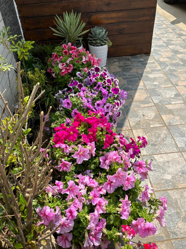 Others 3, Penghu Pincheng B&B, Penghu