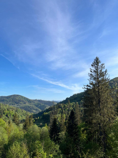 Others 4, Hillside, Skolivs'kyi