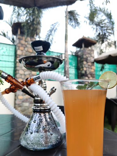 Food & Drinks 5, The Corbett Jungle by Jita Inn, Nainital