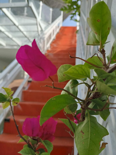 Others 5, Song Trân House, Bảo Lộc