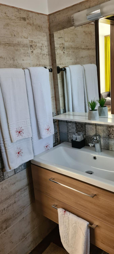 Bathroom 1, Cabana Floare de Colt 2, Rasnov