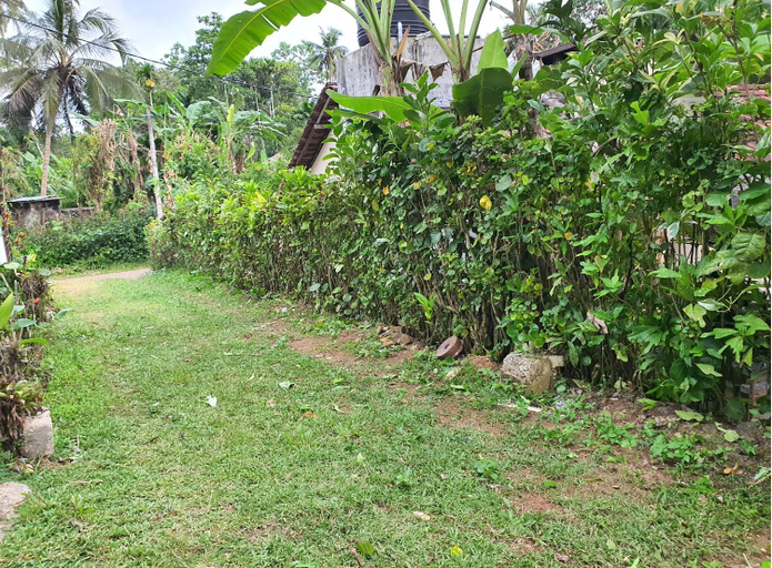 Others 3, Allen Lilly Ahangama, Habaraduwa