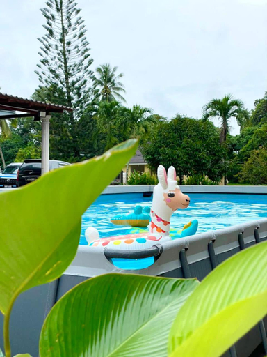 Sport & Beauty 5, Villa Ruby - with private swimming pool, Kota Bharu