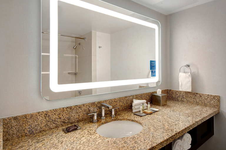 Bathroom 4, Doubletree By Hilton Lax - El Segundo, Los Angeles