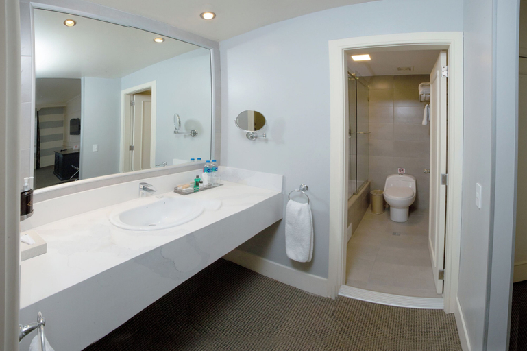 Bathroom 5, Hotel Dann Carlton Quito, Quito
