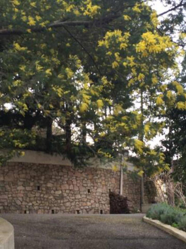 5, Villa Daurus, Alpes-Maritimes