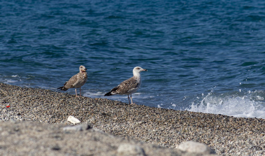 Others 2, Residence il Faro, Reggio Di Calabria