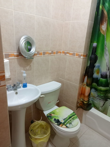 Bathroom, Apartamento de dos habitaciones Alameda, Los Alcarrizos