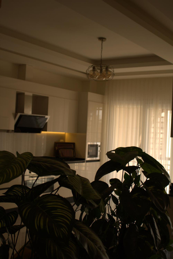 Others 4, Ritala Royal Residence, Amman