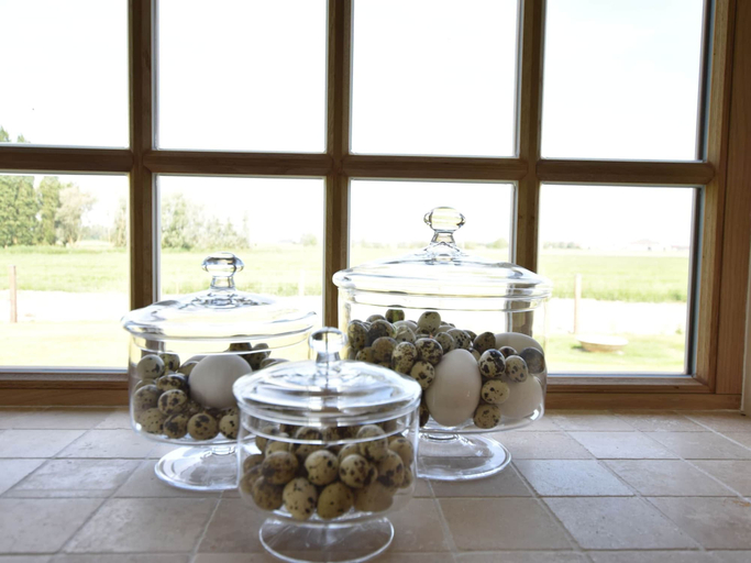 Food & Drinks 5, Beautiful Holiday Home With Terrace, Garden, West-Vlaanderen
