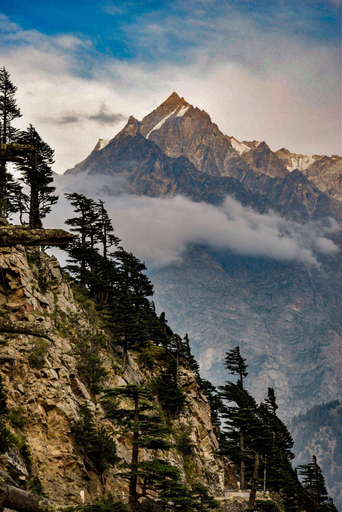 Others 5, Hotel Kalpa Deshang, Kinnaur