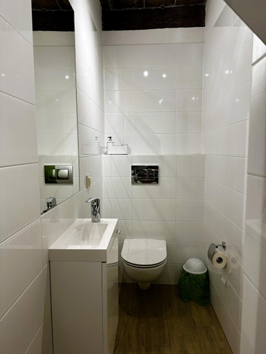 Bathroom 3, Zakatek Sw. Jakuba, Toruń City