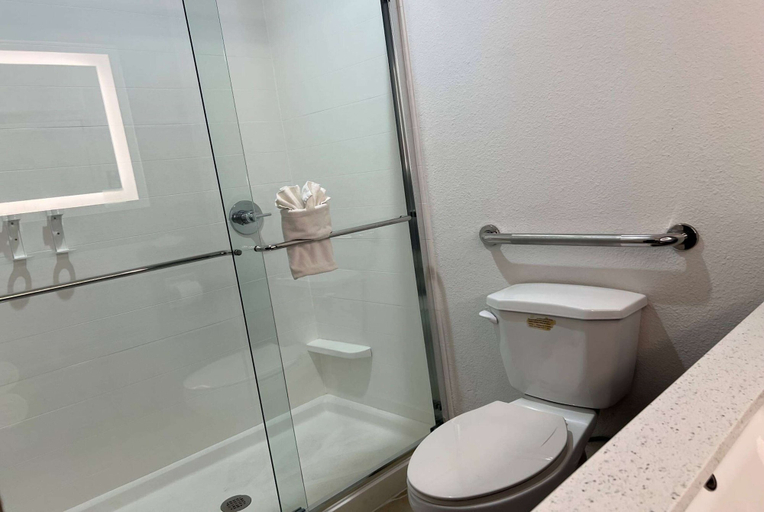 Bathroom 3, La Quinta Inn & Suites by Wyndham Dalhart, Dallam