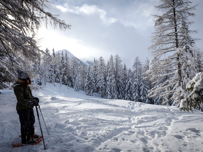 Others 5, Chalet in Binn Near Forest & Scenic Valley, Raron