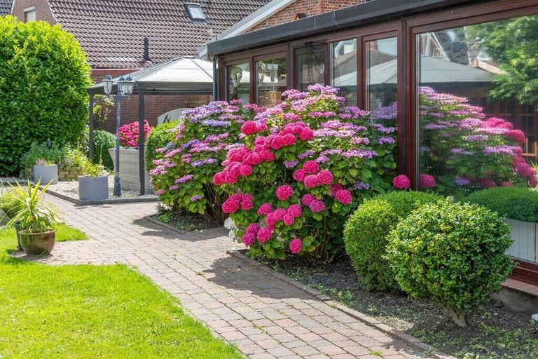 Others 3, Pension Nordlicht, Wittmund