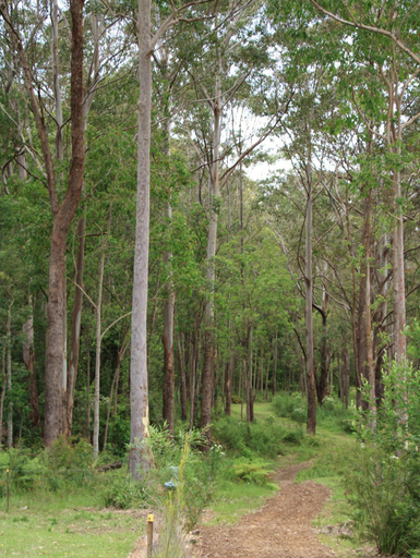 Others 4, Korindi BnB 2 bdrm House at Long Beach including Breakfast, Eurobodalla