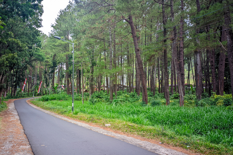 De Sidomulyo Guest House Syariah RedPartner - Tap to explore photos