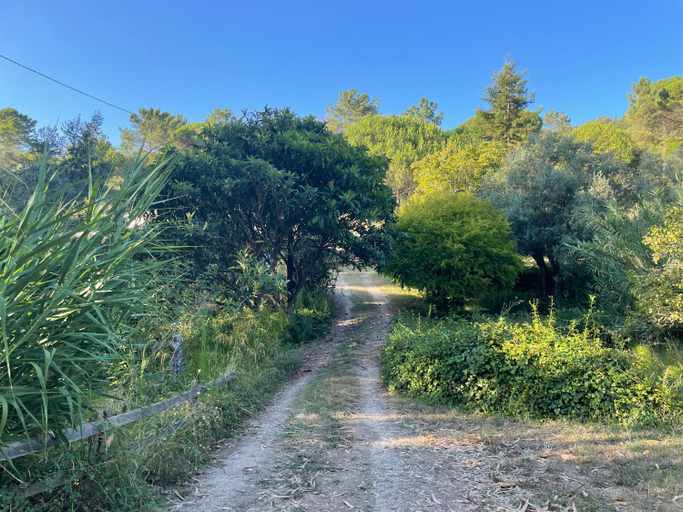Others 2, Nativo - Nature Studio with Kitchenette and private external bathroom, Alcobaça