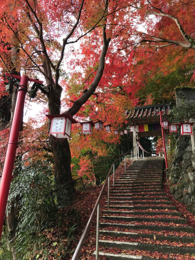 Others 4, 吉野長屋, Yoshino