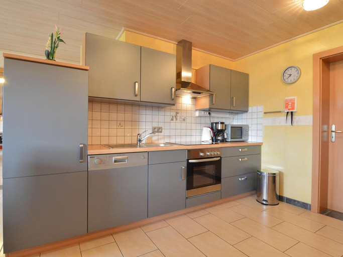 Others 4, Apartment in Burg Reuland With Forest, Liège
