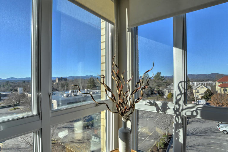 Others 3, 45 Asheland Avenue Unit 508, Buncombe