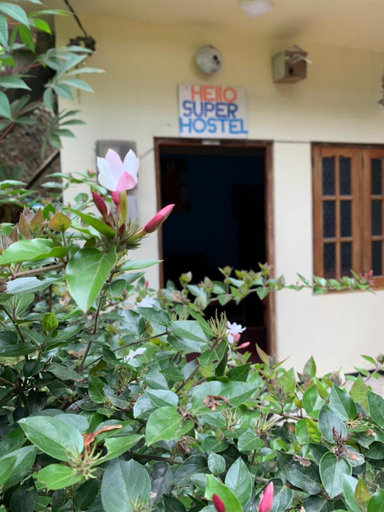 Others 3, Hello Super Hostel, Ella