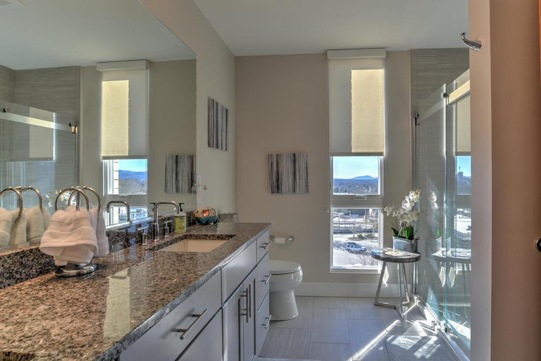 Others 2, 45 Asheland Avenue Unit 508, Buncombe