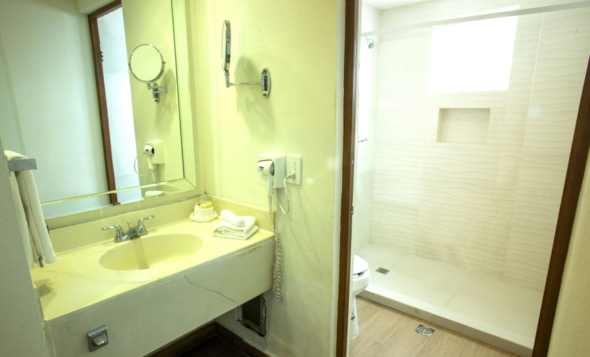 Bathroom 4, Best Western Centro Monterrey, Monterrey