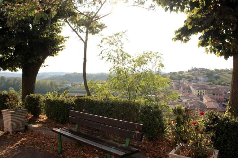 2, La Culla Tra I Vigneti - Stanza, Asti