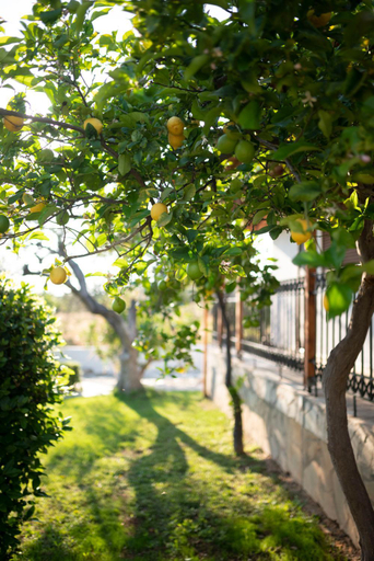 Others 5, Green Garden Private Villa, Peloponnese