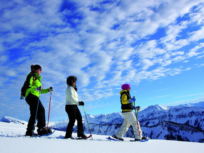 Others 4, Cozy Apartment near Ski Area in Tschagguns, Bludenz