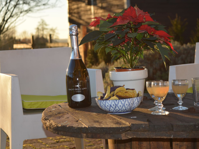 Food & Drinks 4, Villa in Belgium With Private Pool & Garden, Namur