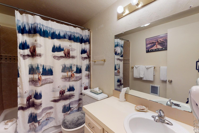 Bathroom 4, Anaconda 102, Summit