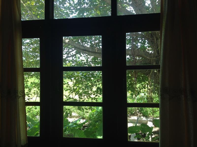Scenery 10