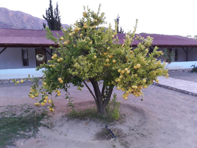 Others 4, BKZ Self-Catering, Gibeon