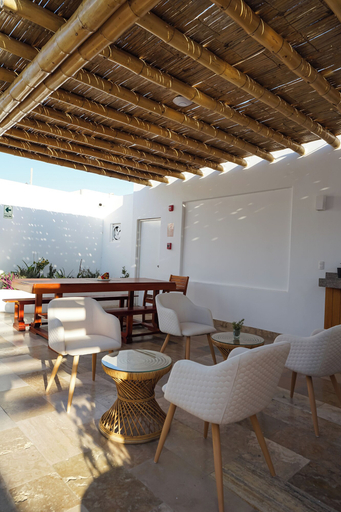 Food & Drinks 5, Atoq Paracas Reserva, Pisco
