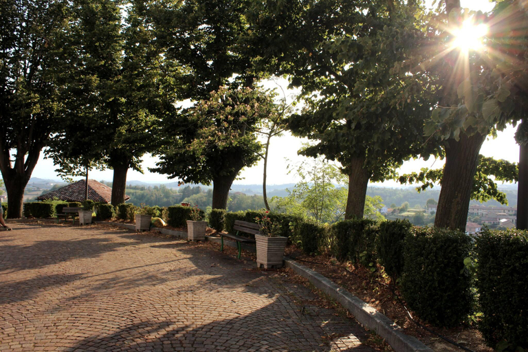 4, La Culla Tra I Vigneti - Stanza, Asti