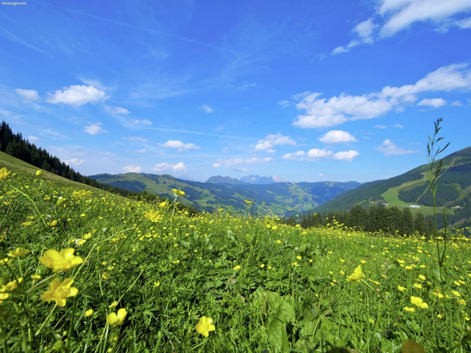 Others 5, Luxurious Holiday Home With Terrace, Zell am See