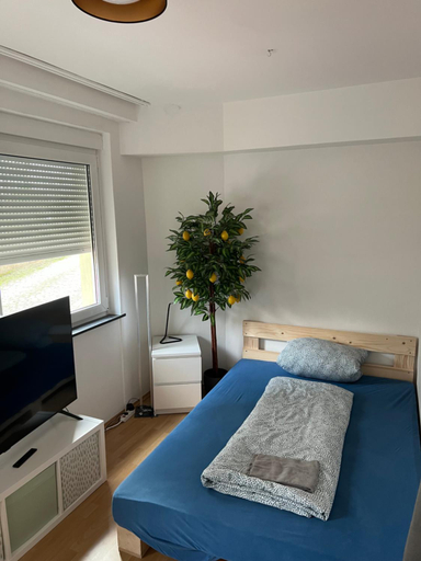 Others 3, Privatzimmer nahe Residenz und Innenstadt, Würzburg