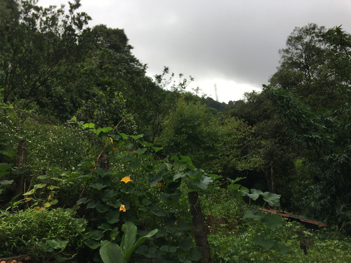 Scenery 2