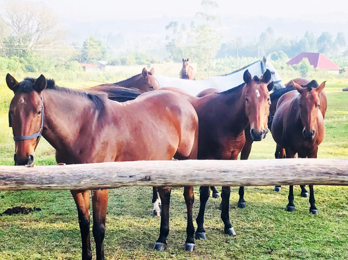 Others 5, Rwekishokye Country Club, Rwampara