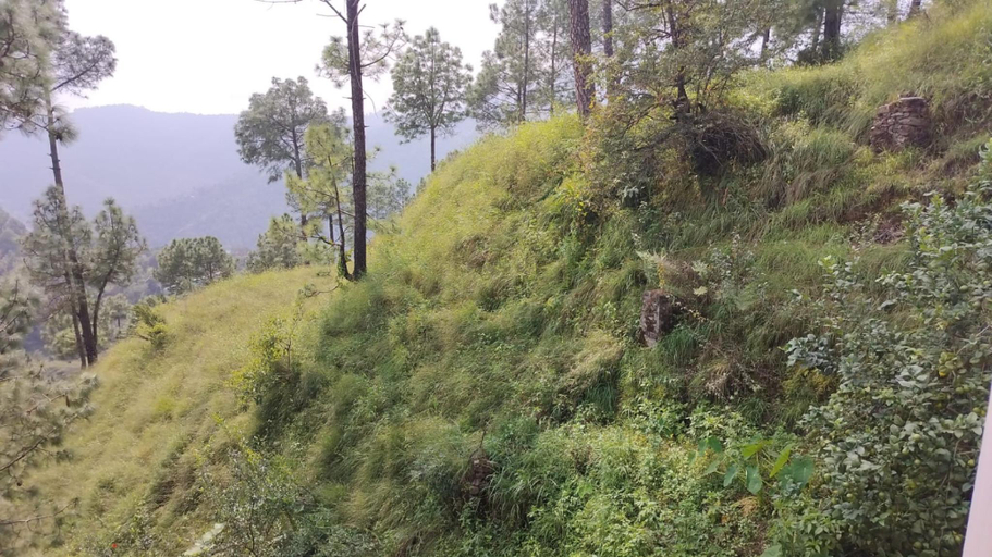 Others 4, Goroomgo Sukh Dham Homestay Shimla, Shimla