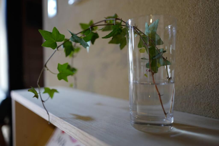 Others 5, Honmachi-Shin South, Kyoto