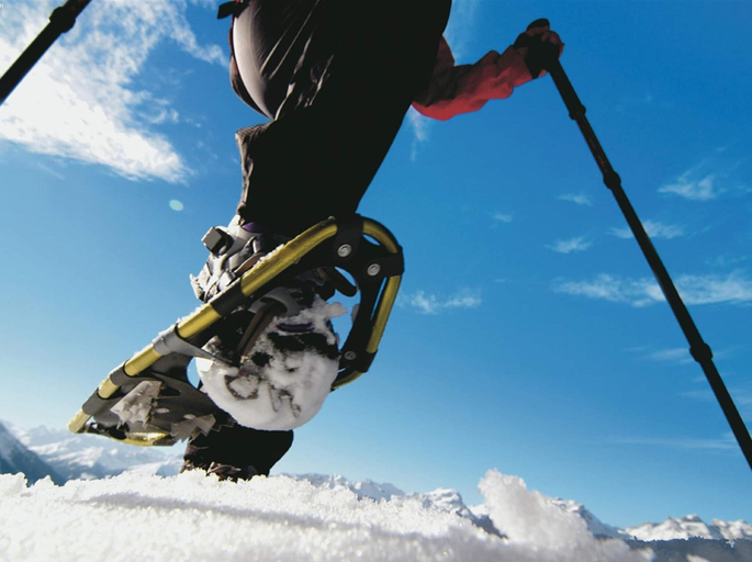 Others 5, Luxury Chalet in Gaschurn Near Ski Lift, Bludenz
